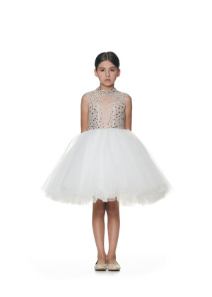 Stand-up Collar Beaded Ivory Tulle Shimmering Flower Girl Dress